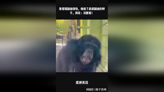 蹦迪视频安卓版夜店真实蹦迪现场视频