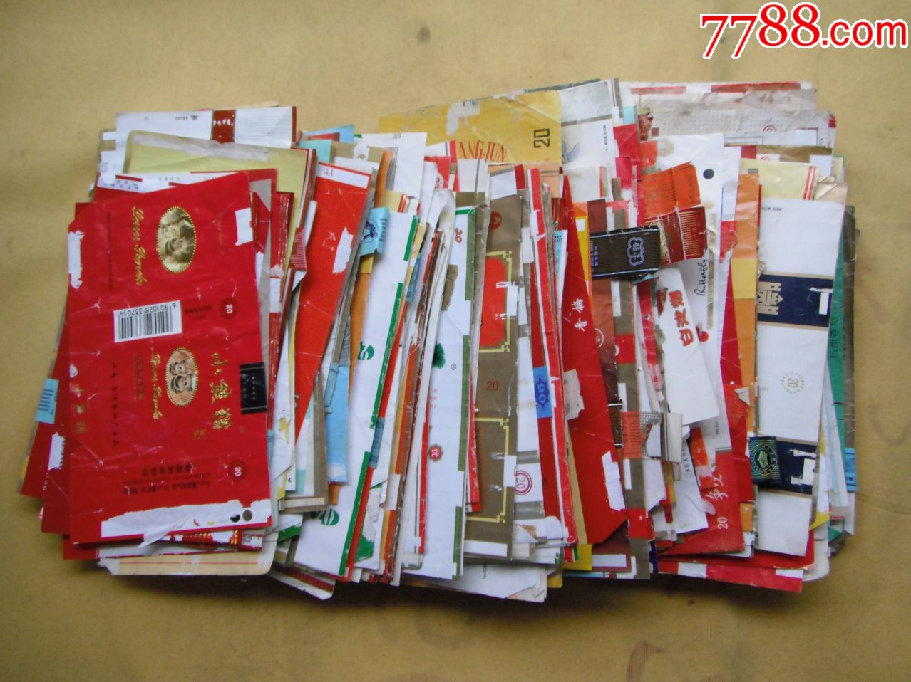 合拍客户端300现金聚相机plus免费下载